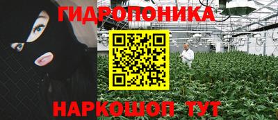 a pvp Усть-Илимск